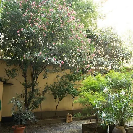 Casa Di Olly 公寓